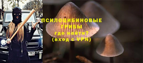 молекула духа Надым