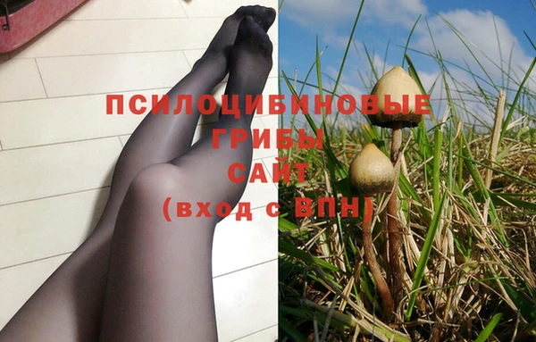 молекула духа Надым