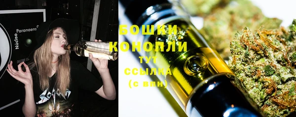 молекула духа Надым