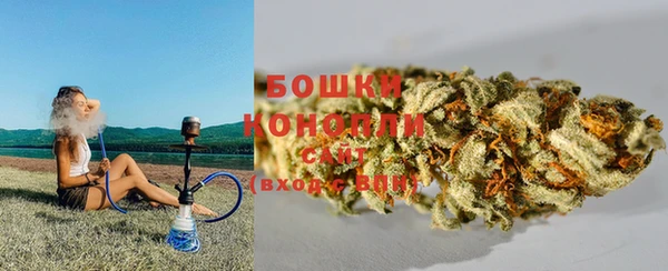 молекула духа Надым